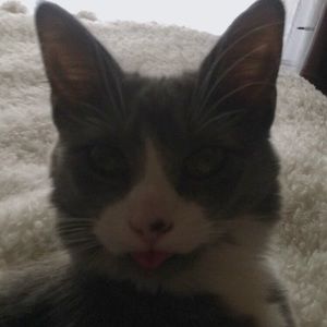 Meet your Posher, Jacqueline